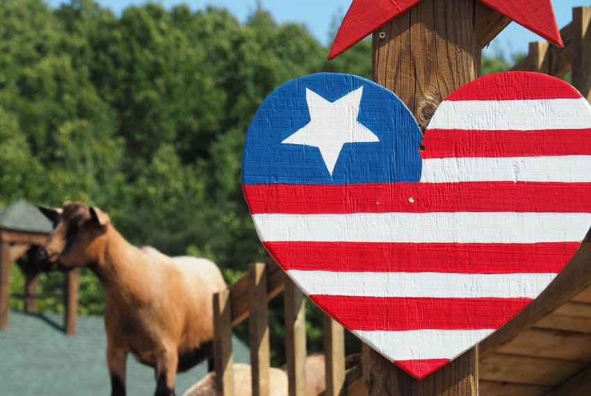 heart american flag sign at lewis farms in new era michigan
